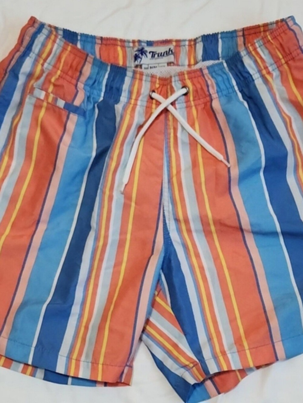 Trunks Surf & Swim Multi Stripe Printed Sano Swim Shorts Size M